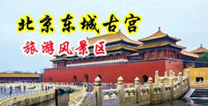 大鸡巴在金发妹子的体内射精了中国北京-东城古宫旅游风景区